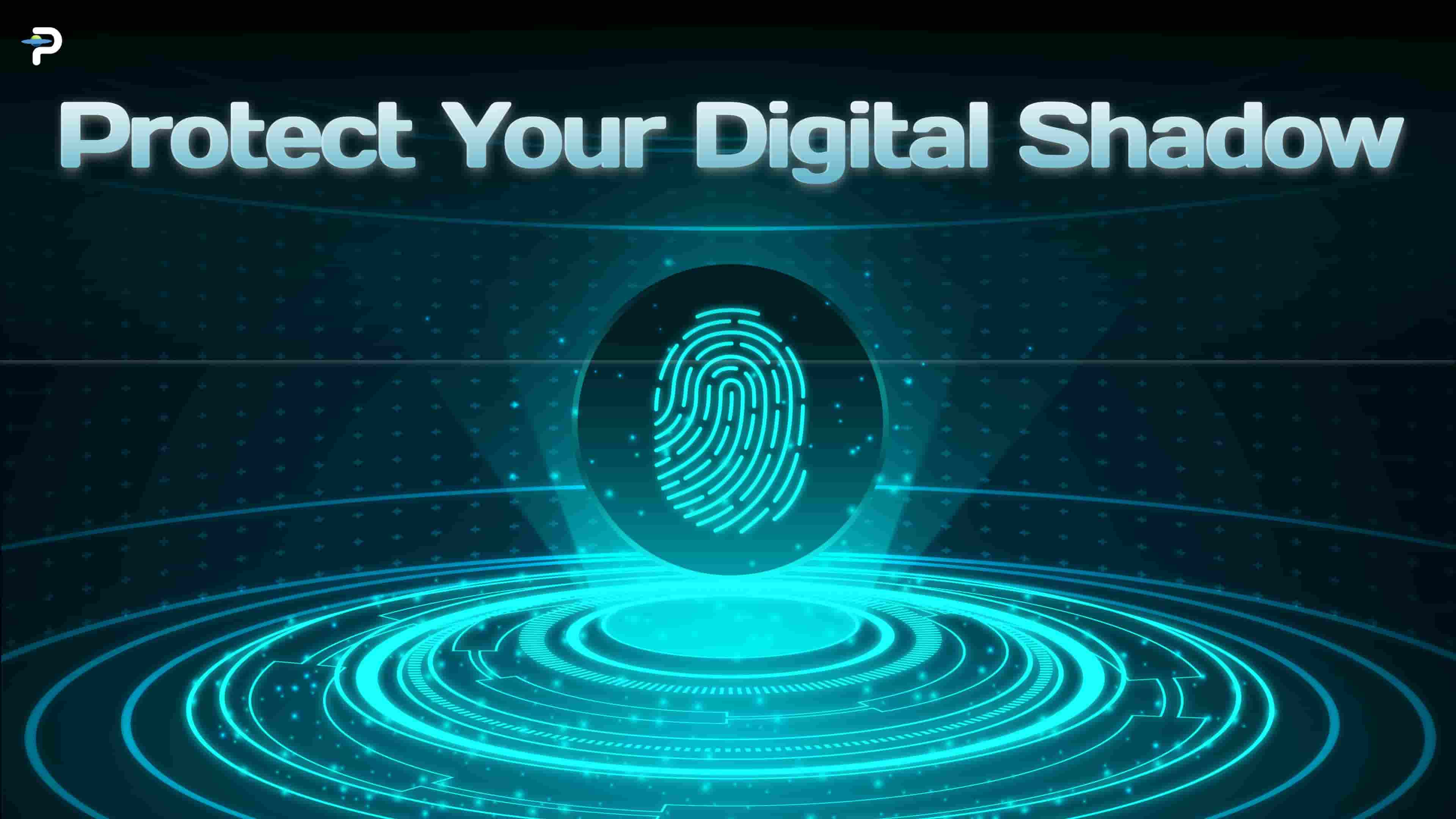 The "Digital Shadow" Audit: the new must-have tech skill is "IP Protection."
