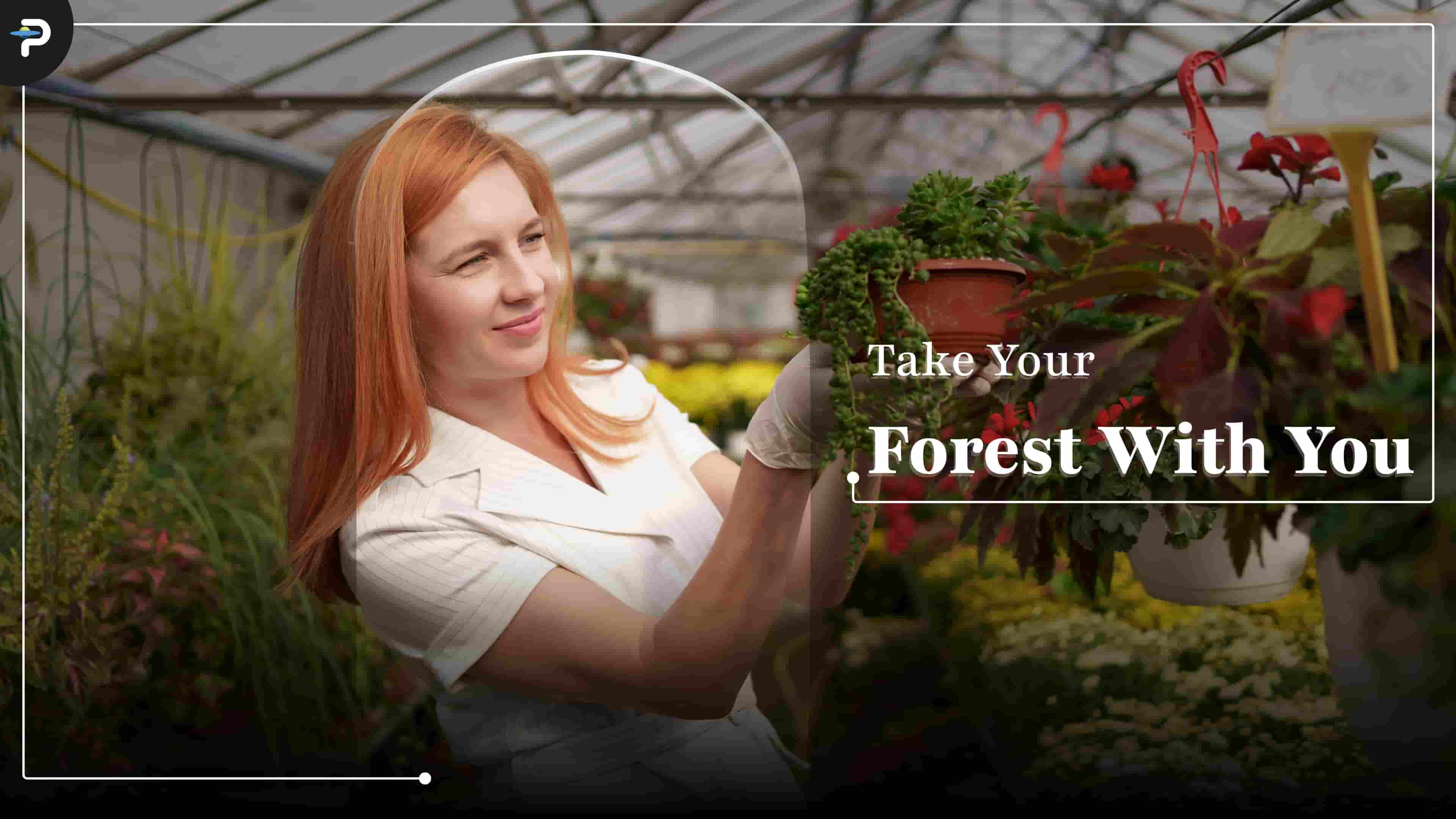 Rental-Safe Permaculture: How to grow a high-yield food forest in a balcony