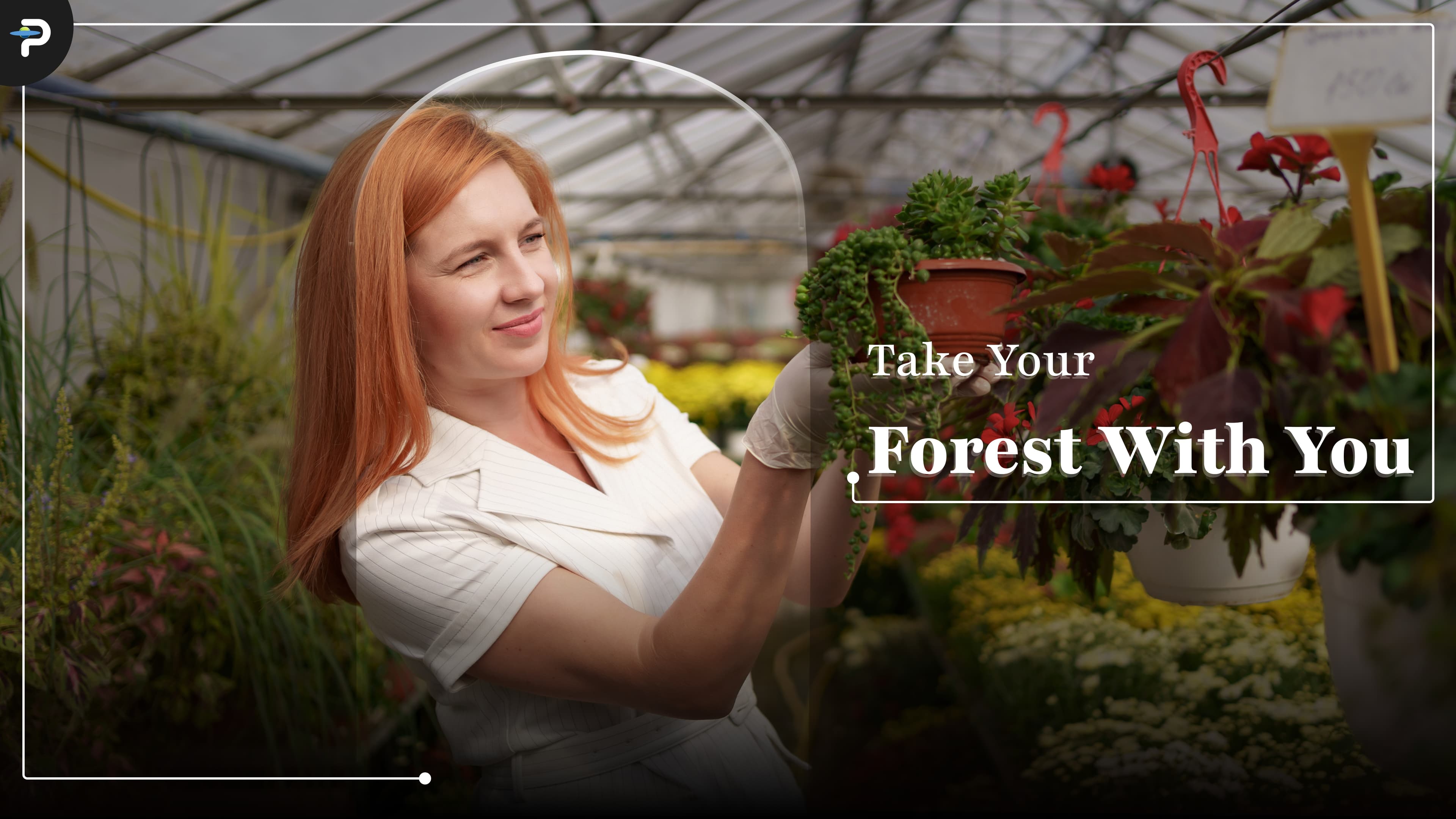 rental-safe-permaculture-how-to-grow-a-high-yield-food-forest-in-a-balcony